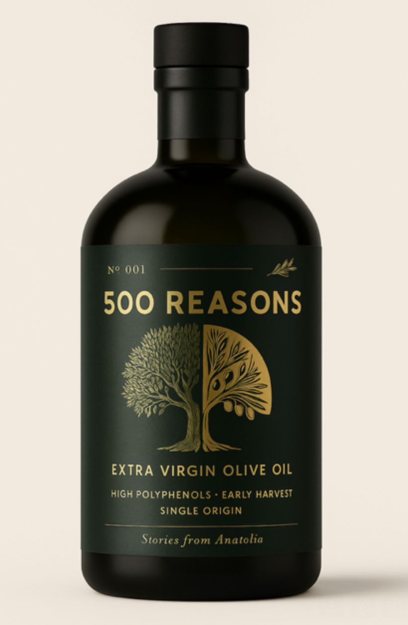 500 Reasons. Everyday Essentials
